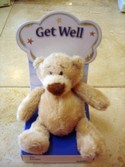 H7121 Bear Your Soul Bear Get Well by Ganz