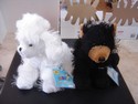 Webkinz - NEW Set Of 2 White Poodle HM014 & Black Bear HM004