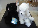 Webkinz - NEW Set Of 2 Black Cat HM135 & White Poodle HM014