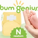 BumGenius All In One Newborn Cloth Diapers Aplix: Choose Color