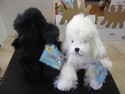 Webkinz - NEW Set Of 2 White Poodle HM014 & Black Poodle HM191