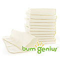 BumGenius Flannel Baby Cloth Diaper Wipes: Choose Quantity