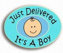 0052 Just Delivered It's a Boy Stork Pride Pin Handcrafted
