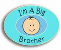 0061 I'm a Big Brother Stork Pride Pin Handcrafted