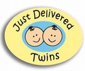 0054 Just Delivered Twins Stork Pride Pin Handcrafted